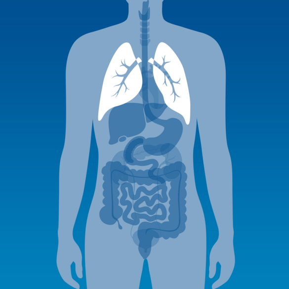 Symbolbild für Lunge