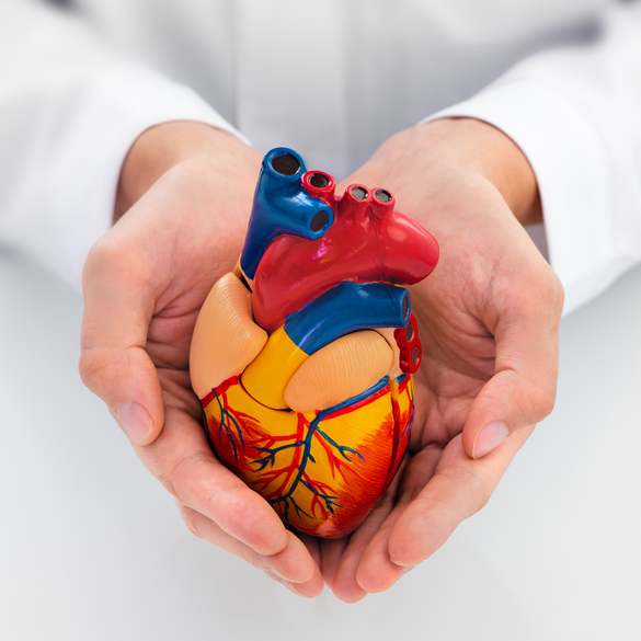 Symbolbild Kardiologie